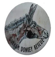 Durham Donkey Rescue