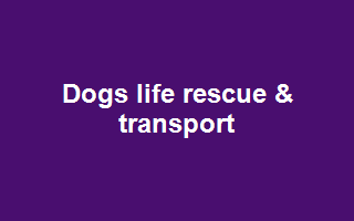 Dogs life rescue & transport