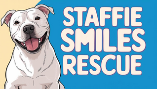 Staffie Smiles Rescue